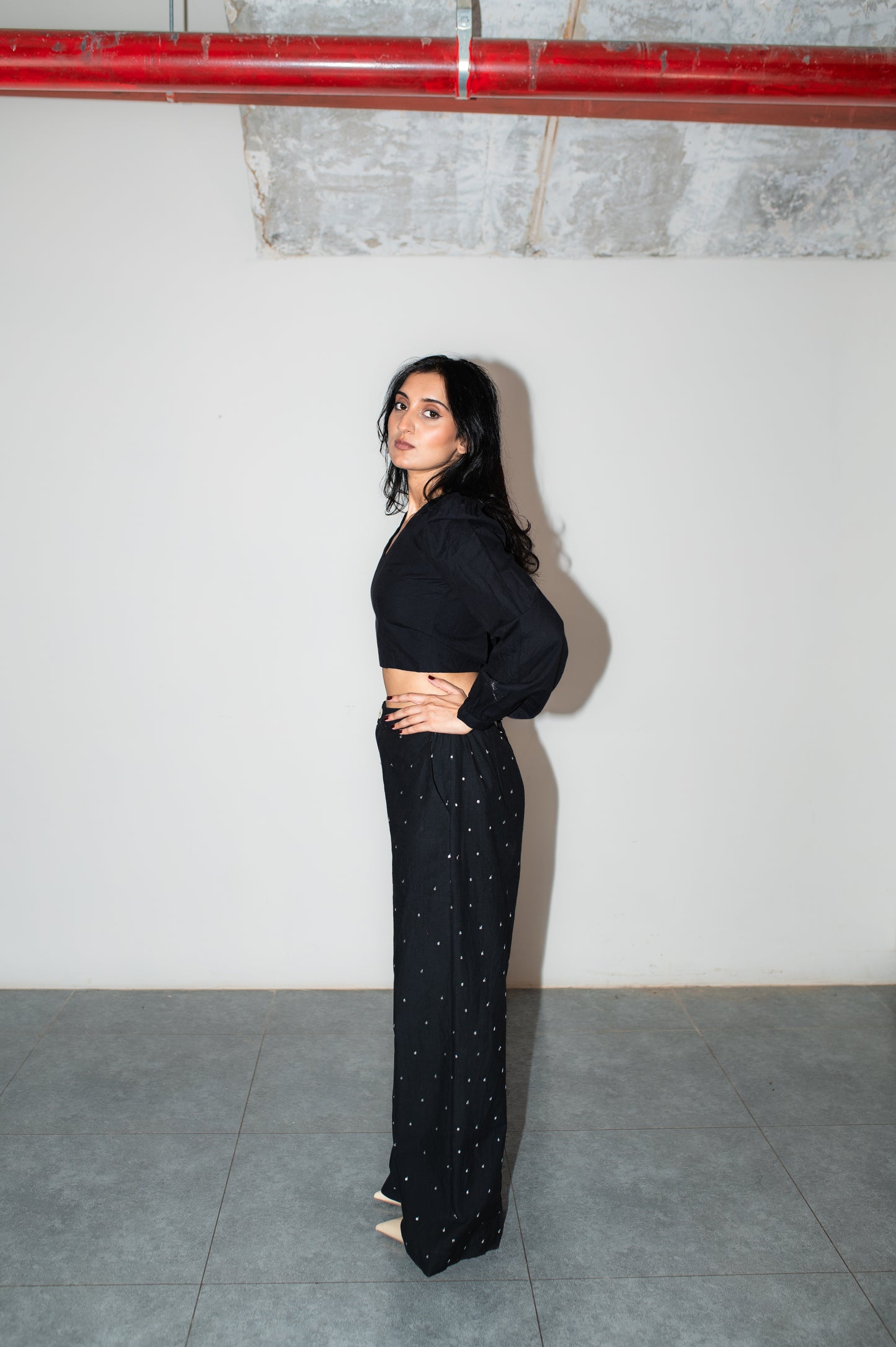 Sequin pants