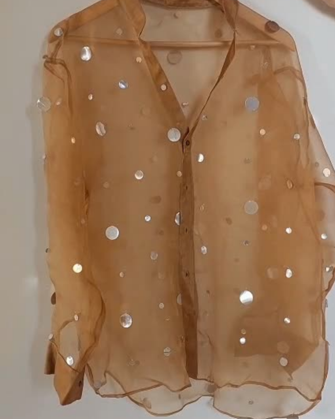 Amber Safar Organza Shirt